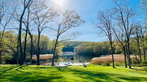 A serene lake surrounded by trees and lush greenery under a clear blue sky, with sunlight reflecting on the water.