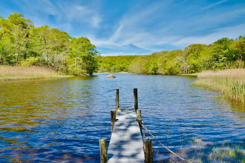 A wooden dock extends into a calm lake surrounded by lush greenery and blue skies.