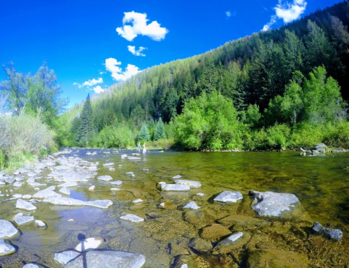 A serene river scene with clear water, rocky banks, and lush green trees under a bright blue sky with fluffy clouds.