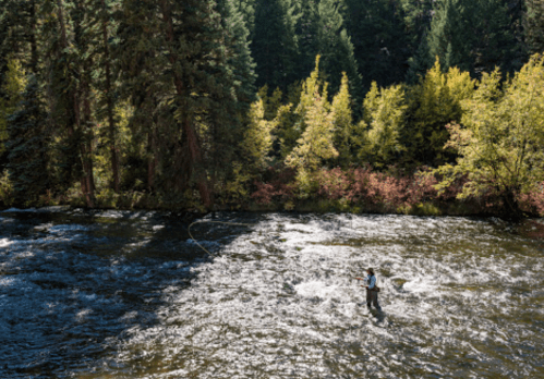A person fly fishing in a river surrounded by lush green trees and autumn foliage.