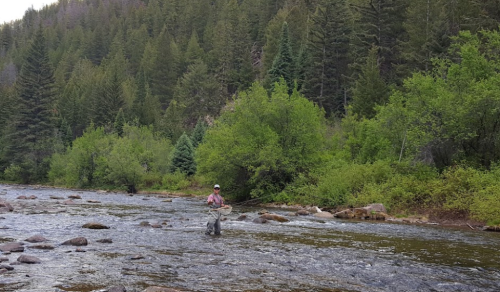 A person stands in a river, surrounded by lush green trees and mountains, casting a fishing line.
