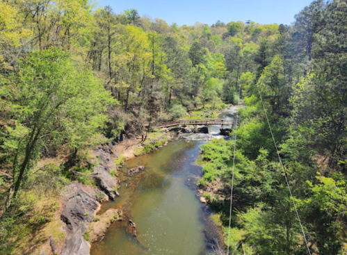 A serene river flows through a lush green forest, with a small stone bridge crossing over it under a clear blue sky.