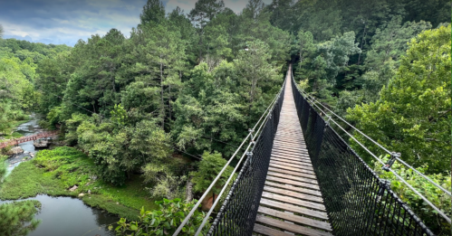 A long suspension bridge stretches over a lush green forest and river, surrounded by trees and natural scenery.