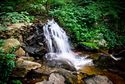 A serene waterfall cascades over rocks, surrounded by lush green foliage in a tranquil forest setting.