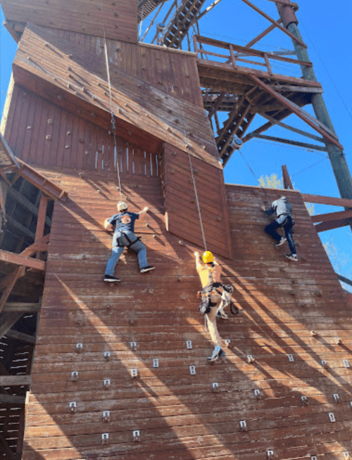 Three climbers ascend a wooden climbing wall, with ropes and harnesses, under a clear blue sky.