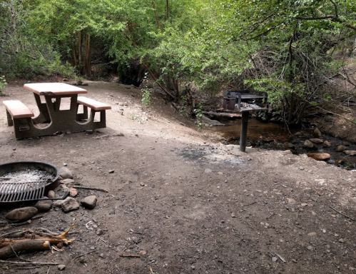 A picnic area with a table, grill, and fire pit near a small stream surrounded by trees.