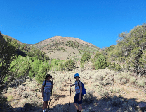 Two children hiking on a trail with a mountain in the background, surrounded by greenery and clear blue skies.