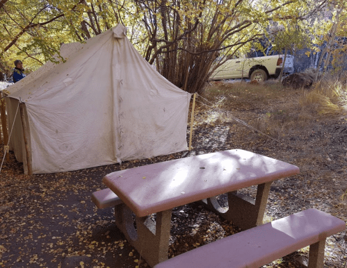 A white tent beside a picnic table in a wooded area with autumn leaves, and a vehicle partially visible in the background.
