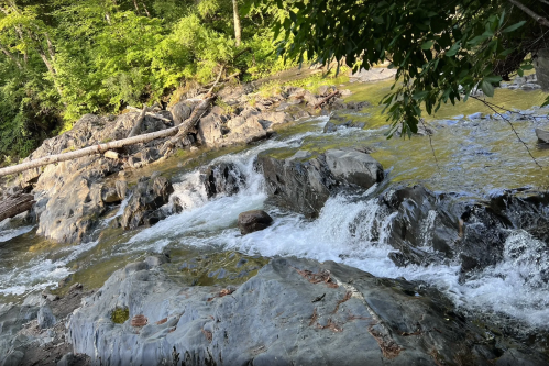A rocky riverbank with flowing water surrounded by lush green trees and foliage.