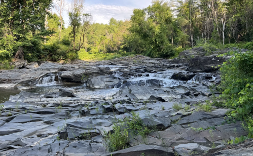 A serene rocky riverbed with gentle waterfalls, surrounded by lush greenery and trees under a clear blue sky.