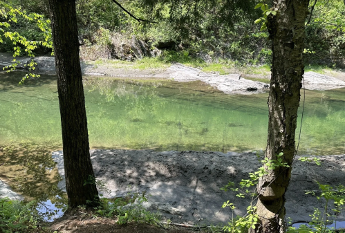 A serene riverbank scene with clear green water, surrounded by trees and rocky edges.