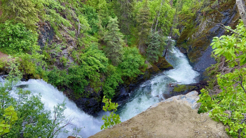 Aerial view of a rushing river splitting through lush green trees and rocky terrain.