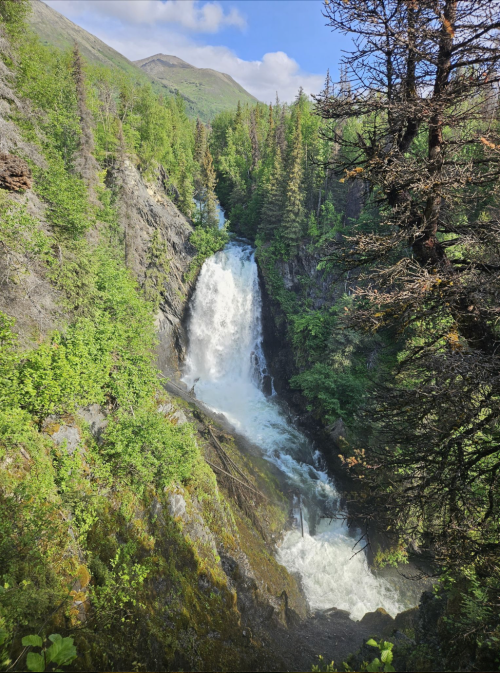 A cascading waterfall surrounded by lush green trees and rocky cliffs under a clear blue sky.