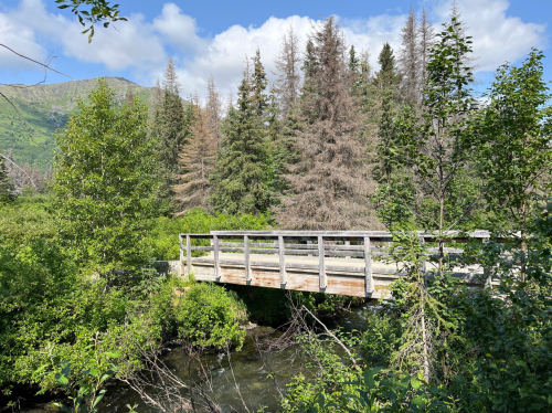 A wooden bridge spans a stream, surrounded by lush greenery and tall trees under a partly cloudy sky.