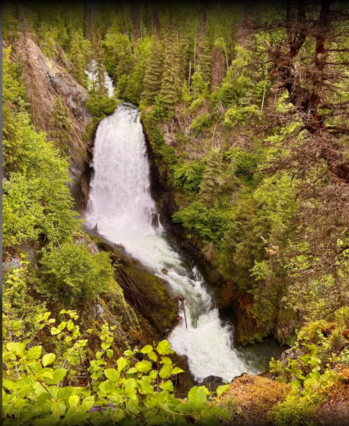 A cascading waterfall surrounded by lush green trees and rocky terrain, creating a serene natural landscape.