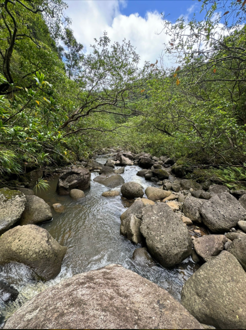 A serene stream flows through a rocky landscape, surrounded by lush greenery and trees under a partly cloudy sky.