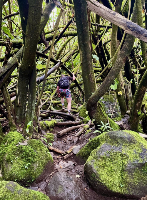 A hiker navigates a dense, moss-covered trail surrounded by tangled branches and rocks in a lush forest.