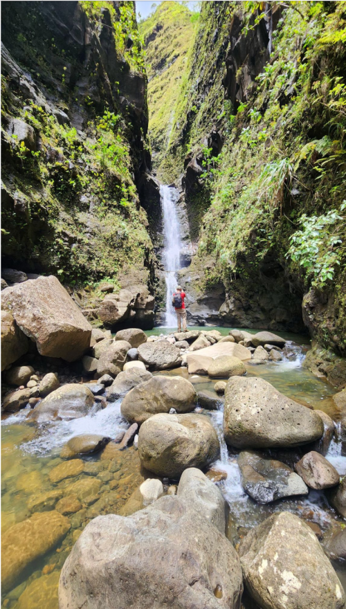 A person stands in a rocky riverbed, surrounded by lush greenery and a waterfall cascading down the cliffs.