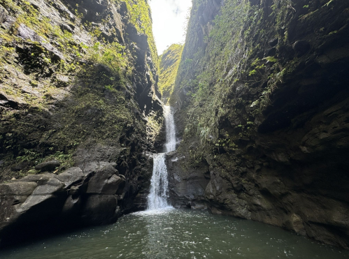 A serene waterfall cascades into a tranquil pool, surrounded by lush, rocky cliffs and greenery.