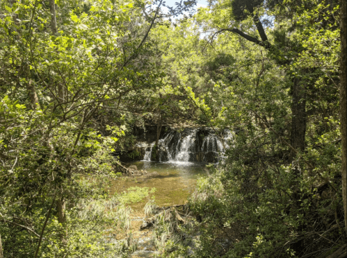 A serene waterfall cascades into a calm pool, surrounded by lush green trees and foliage.