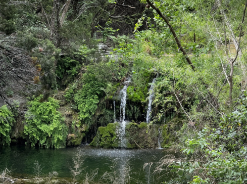 A serene waterfall cascading over moss-covered rocks into a tranquil green pool, surrounded by lush vegetation.