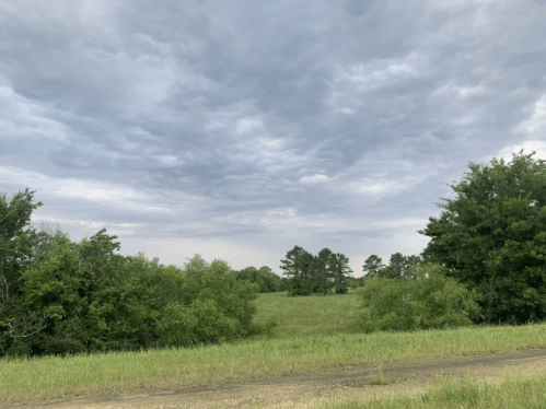 A grassy field under a cloudy sky, bordered by trees on either side.