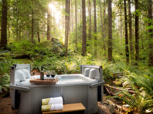 A hot tub in a serene forest setting, surrounded by lush greenery and sunlight filtering through the trees.