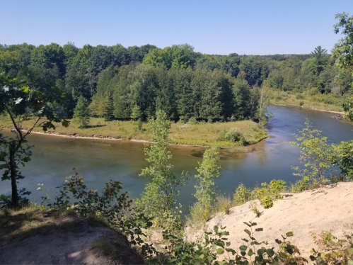 A serene river winding through lush green trees under a clear blue sky.