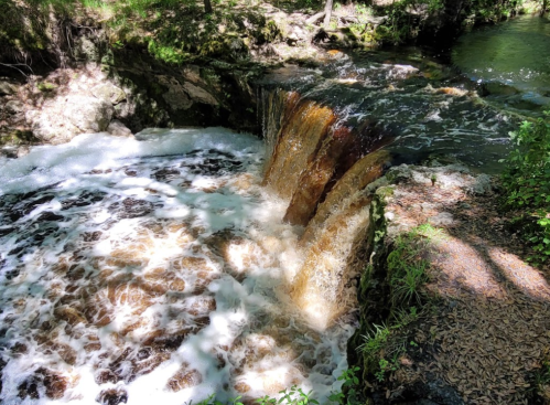 A small waterfall cascades over rocks into a bubbling stream, surrounded by lush greenery and sunlight.