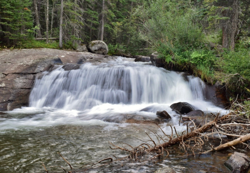 A serene waterfall cascades over rocks into a calm pool, surrounded by lush greenery and trees.