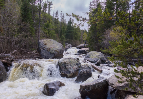 A rushing river flows over rocks, surrounded by trees and greenery under a cloudy sky.
