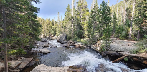 A serene river flows through a forested area, surrounded by tall trees and rocky banks under a partly cloudy sky.