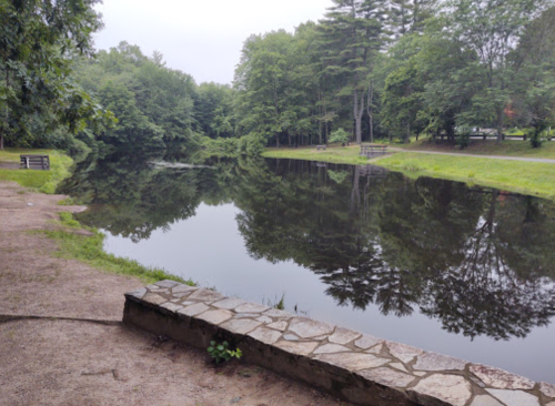 A serene pond surrounded by lush greenery, reflecting trees and a cloudy sky, with a stone edge in the foreground.