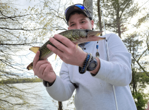 A person holding a northern pike fish by a lake, surrounded by trees and a cloudy sky.
