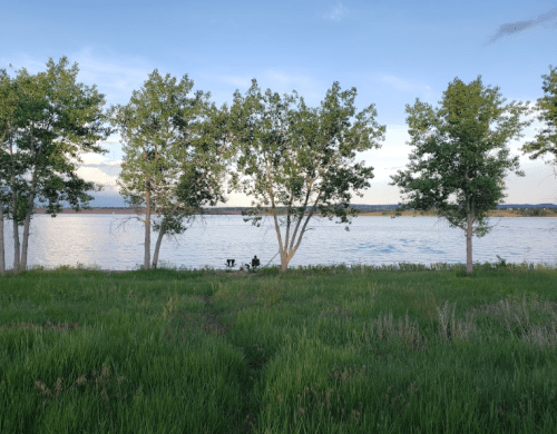 A serene lakeside scene with two people sitting by the water, surrounded by tall grass and trees under a clear sky.