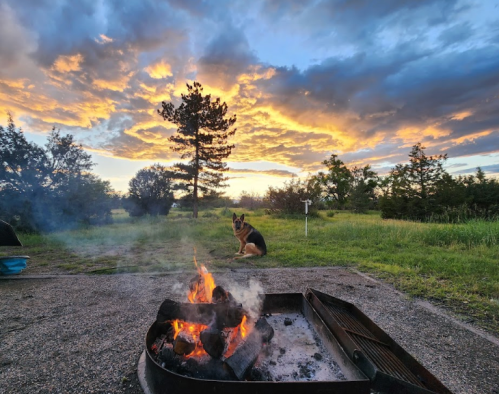 A campfire burns in the foreground with a dog sitting nearby, set against a colorful sunset and trees in the background.