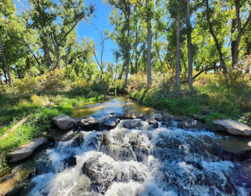 A serene stream flows over rocks, surrounded by lush green trees and bright blue skies.