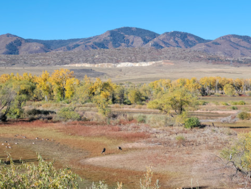 A scenic landscape featuring rolling hills, autumn trees, and a grassy area with two birds in the foreground.
