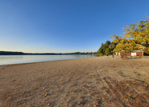 A serene beach scene at sunset, with calm water, sandy shore, and trees lining the background.