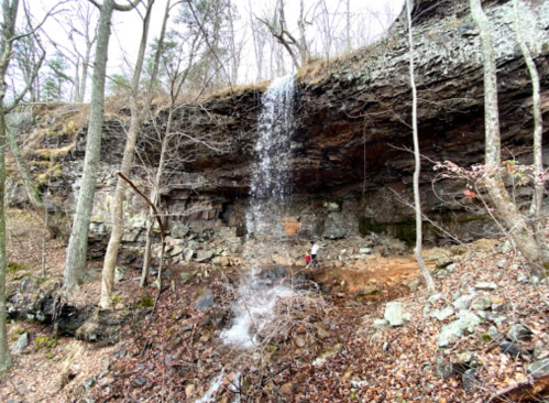 A waterfall cascades over rocky terrain, surrounded by bare trees and scattered leaves in a serene forest setting.