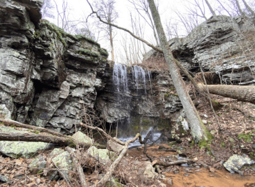 A serene waterfall cascades over rocky cliffs, surrounded by bare trees and scattered branches in a tranquil forest setting.