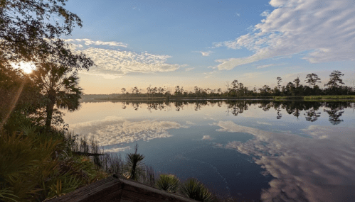 A serene lake at sunset, reflecting clouds and trees, with lush greenery in the foreground.