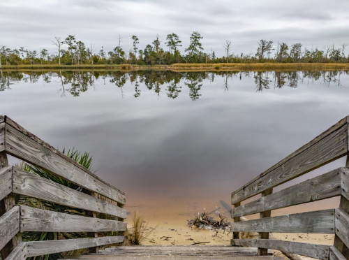 Wooden stairs lead down to a calm, reflective body of water surrounded by trees under a cloudy sky.