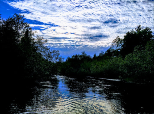 A serene river reflects a cloudy sky, surrounded by lush greenery and trees on both banks.