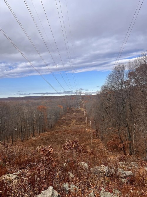 A power line stretches over a wooded landscape with bare trees and rocky terrain under a cloudy sky.