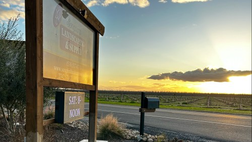 A sign for a landscaping business beside a road, with a sunset and vineyard in the background. Open Saturday at noon.