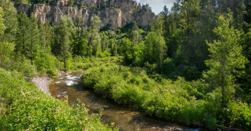 The Spearfish River winds through a green canyon with tall cliff walls in South Dakota.