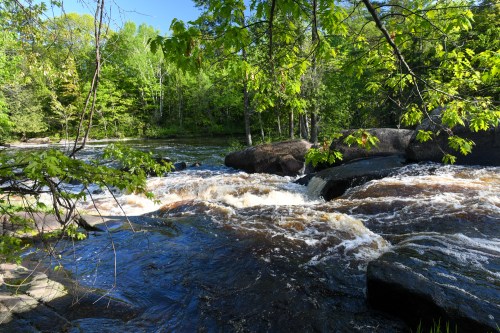 A serene river flows over rocks, surrounded by lush green trees under a clear blue sky.