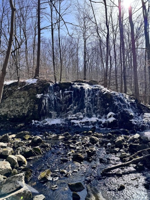A serene waterfall cascades over rocks, surrounded by bare trees and a bright blue sky. Sunlight glimmers in the background.