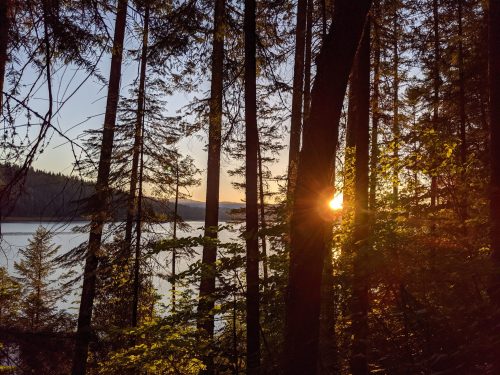 Sunset peeking through trees by a calm lake, surrounded by lush greenery and a serene landscape.